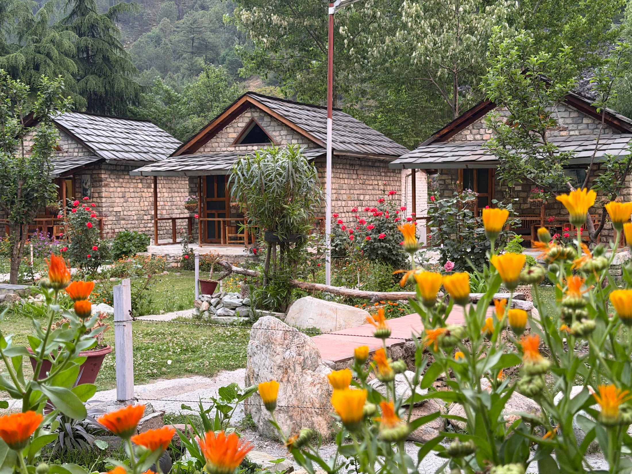 Another open-ground view at WhiteStone Cottages